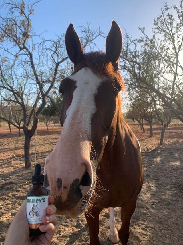 CBD Oil For Horses ; Full Spectrum Hemp Oil ; Equine Health Products