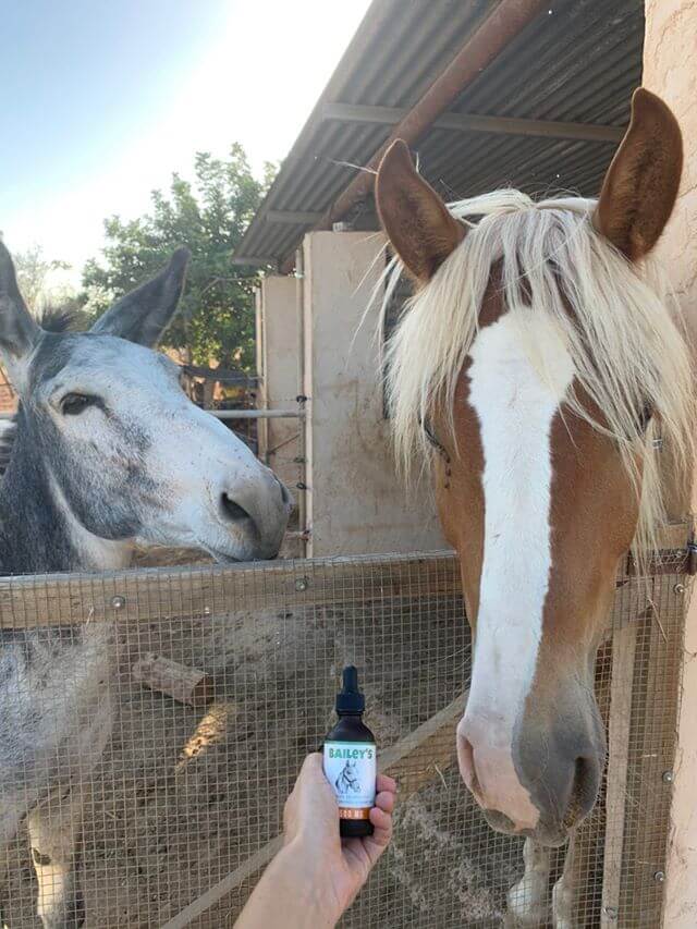 CBD Oil For Horses ; Full Spectrum Hemp Oil ; Equine Health Products