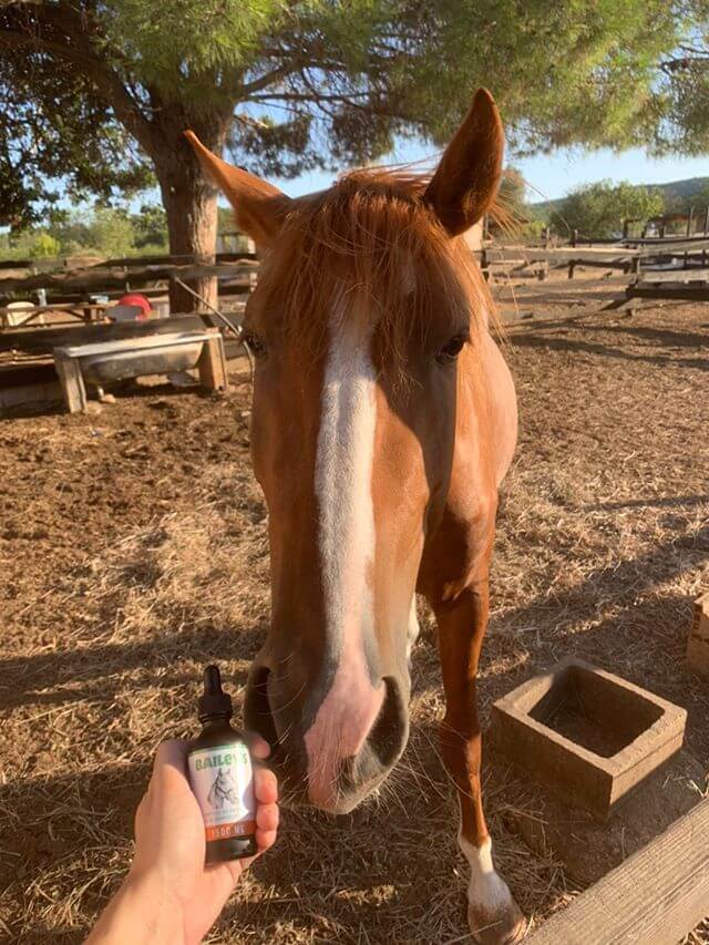 CBD Oil For Horses ; Full Spectrum Hemp Oil ; Equine Health ProductsBailey's Full Spectrum Hemp Oil For Horses w/ 1500MG Naturally Occurring CBD